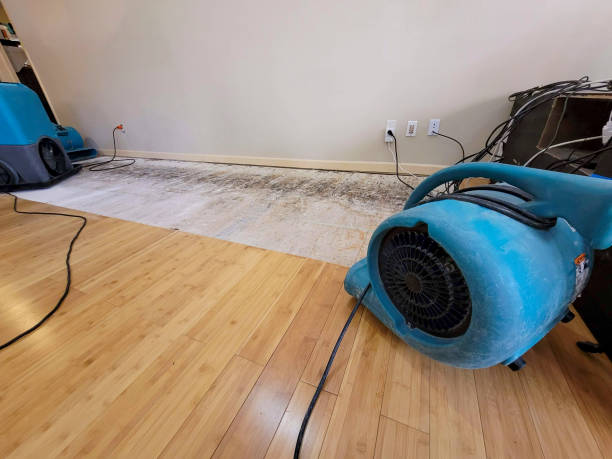 Professional Water Removal technician working in White Oak, WV